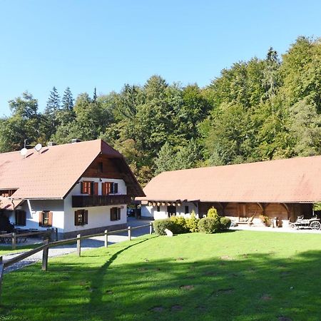 Domacija Seruga Countryside Hotel Novo Mesto Esterno foto