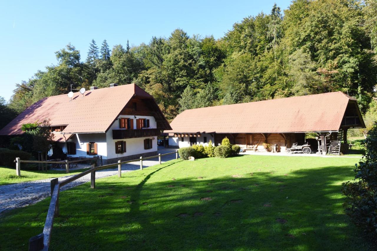 Domacija Seruga Countryside Hotel Novo Mesto Esterno foto