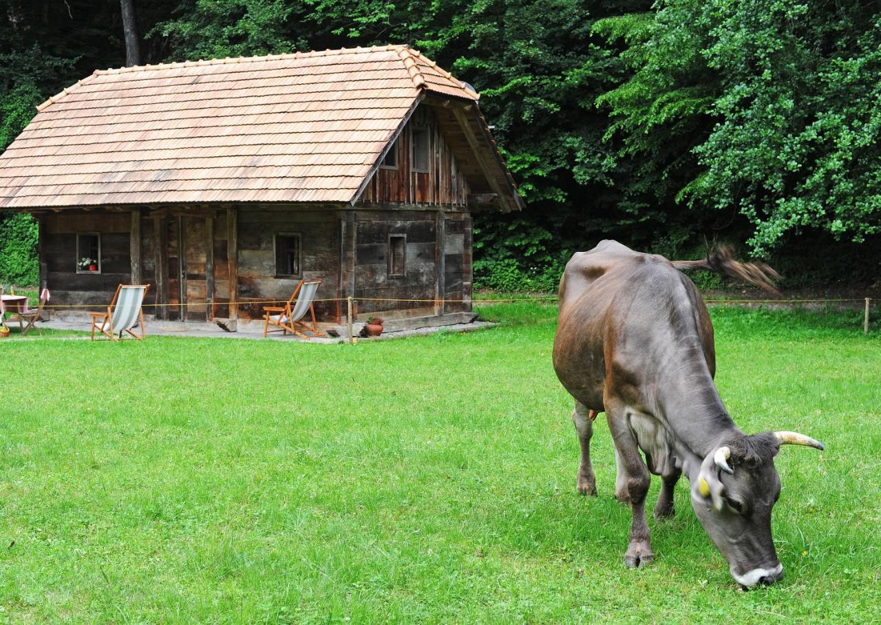 Domacija Seruga Countryside Hotel Novo Mesto Esterno foto