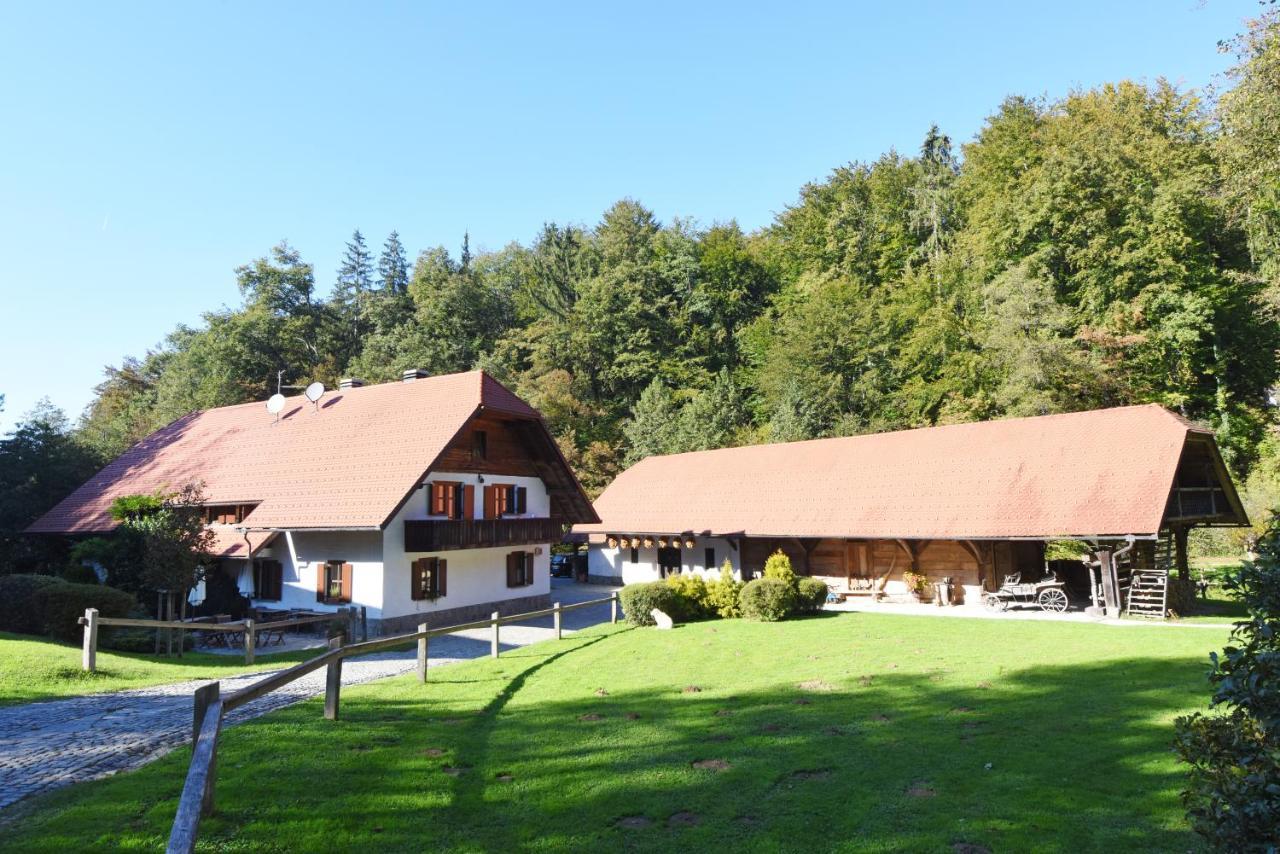 Domacija Seruga Countryside Hotel Novo Mesto Esterno foto