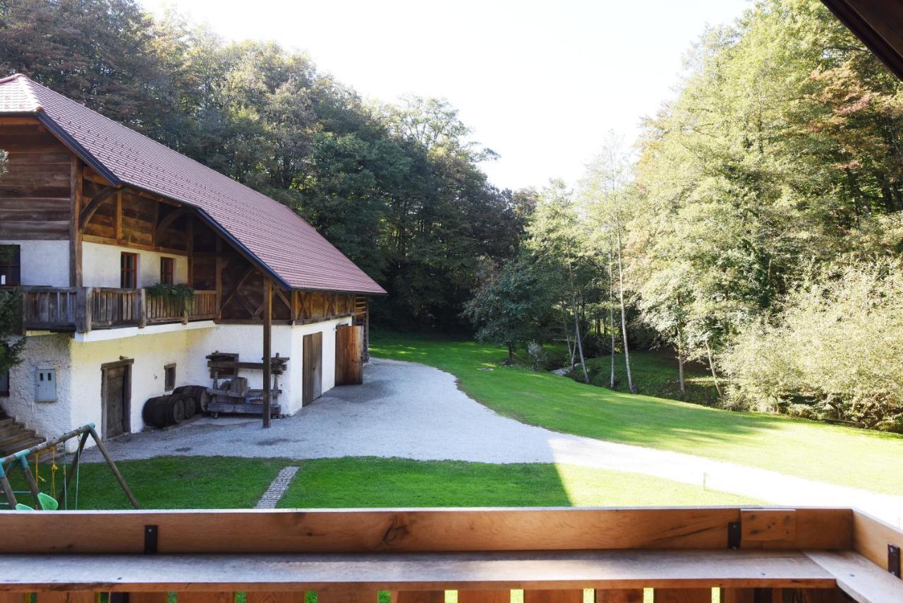 Domacija Seruga Countryside Hotel Novo Mesto Esterno foto