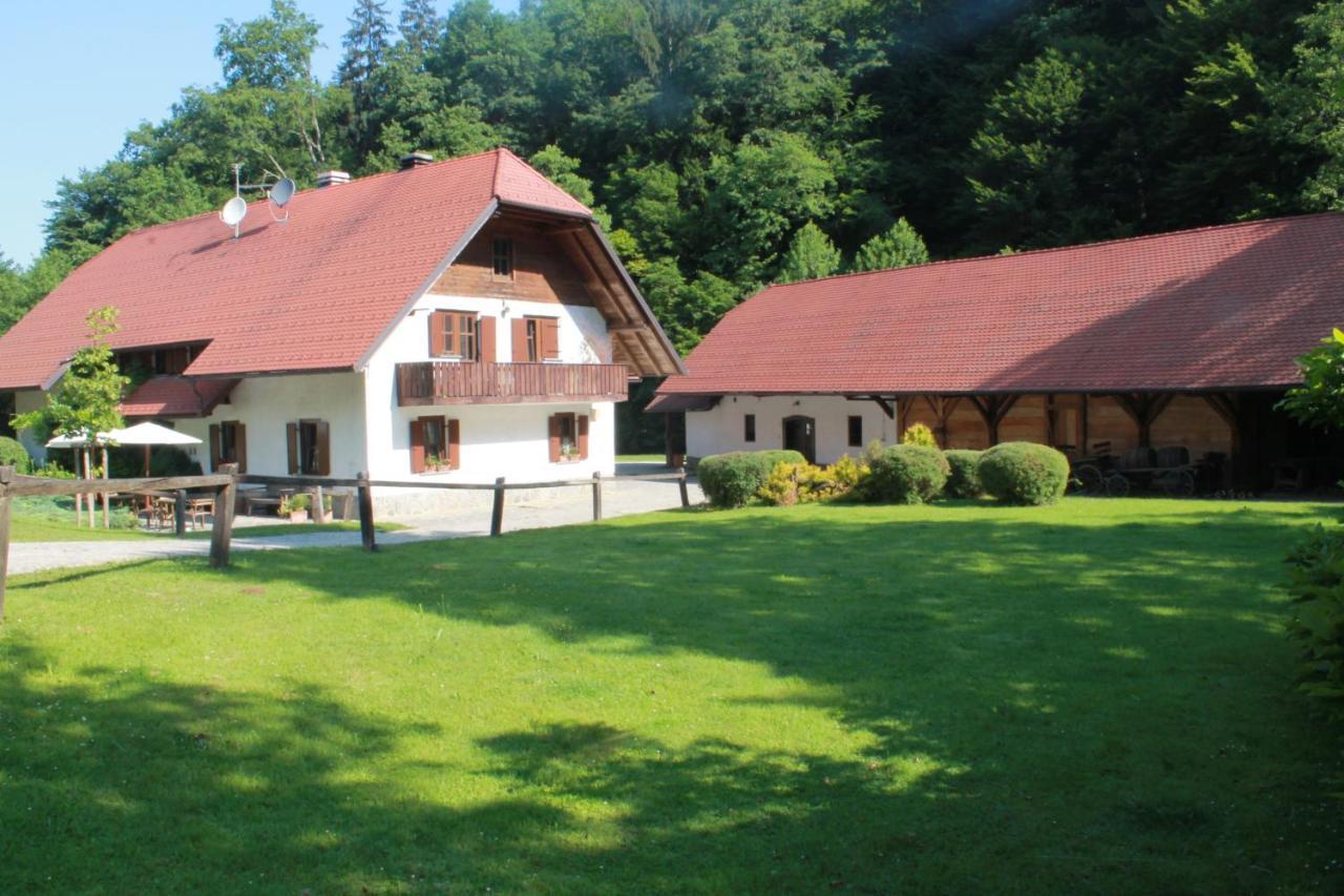 Domacija Seruga Countryside Hotel Novo Mesto Esterno foto